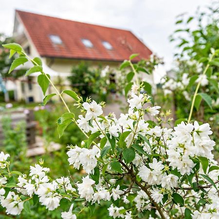 Beutenmuehle Straussenfarm Dach Owingen Exteriör bild