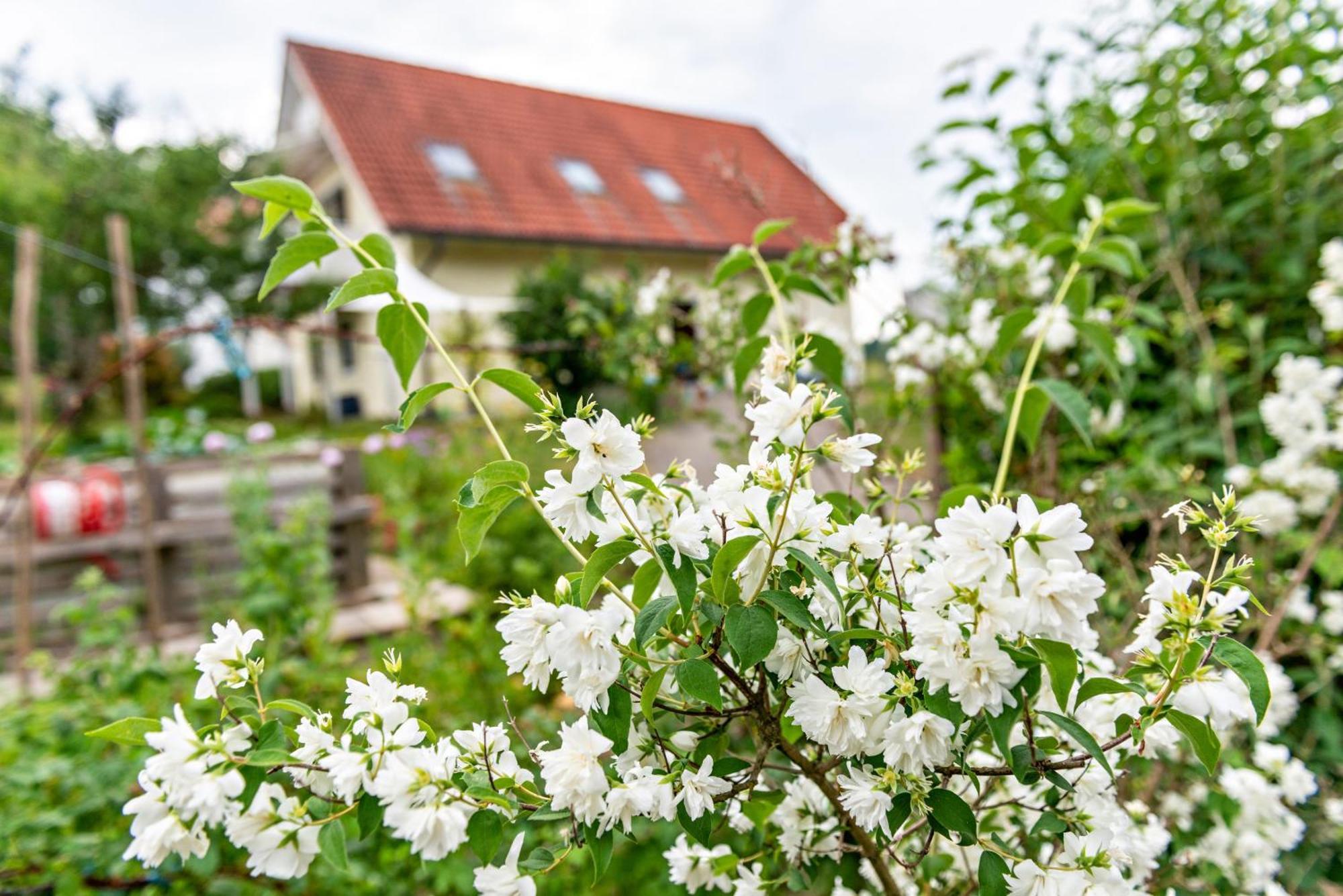 Beutenmuehle Straussenfarm Dach Owingen Exteriör bild